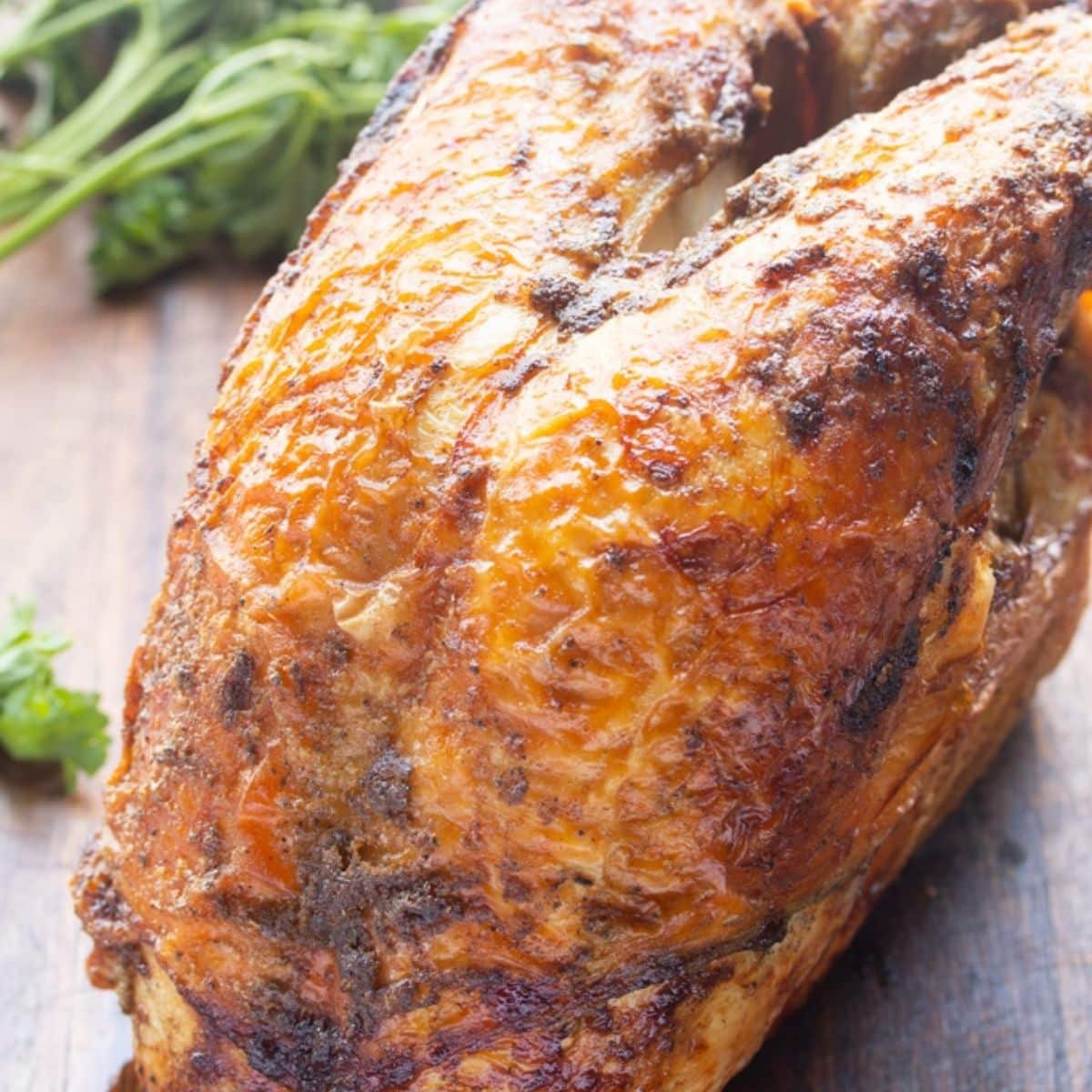 Instant vortex sales rotisserie turkey breast