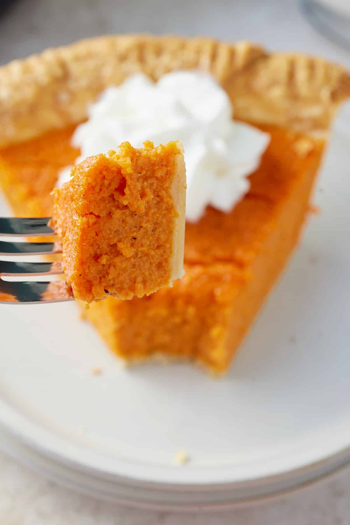 A fork with a piece of carrot pie on it, and a white plate with a slice of carrot pie topped with piped cream in the background
