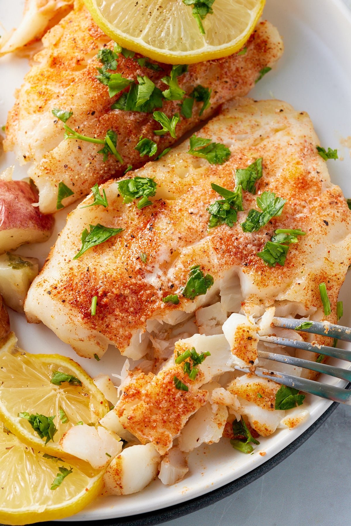 oven baked cod being cut by a fork