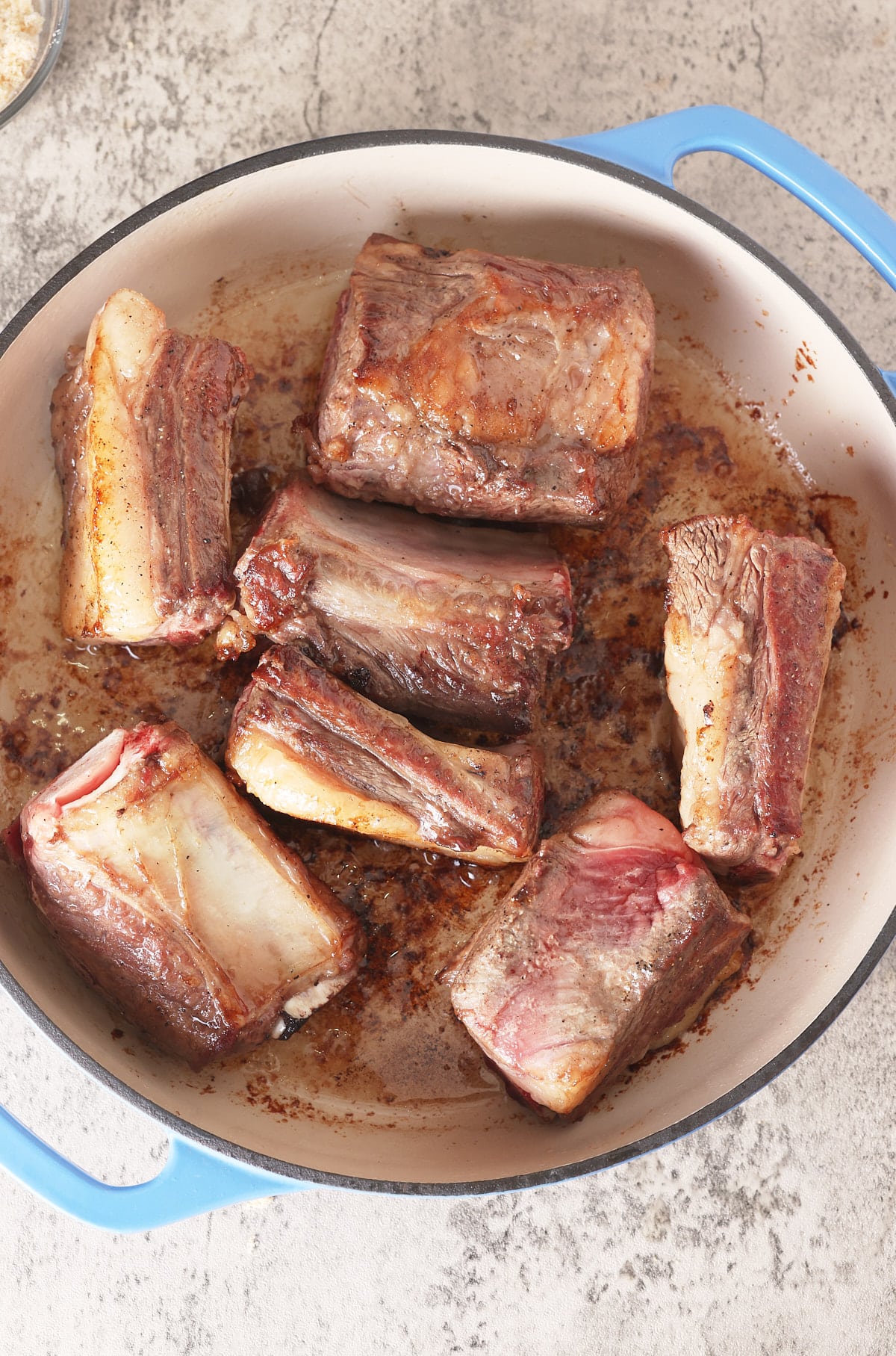 Dutch oven with seared beef short ribs