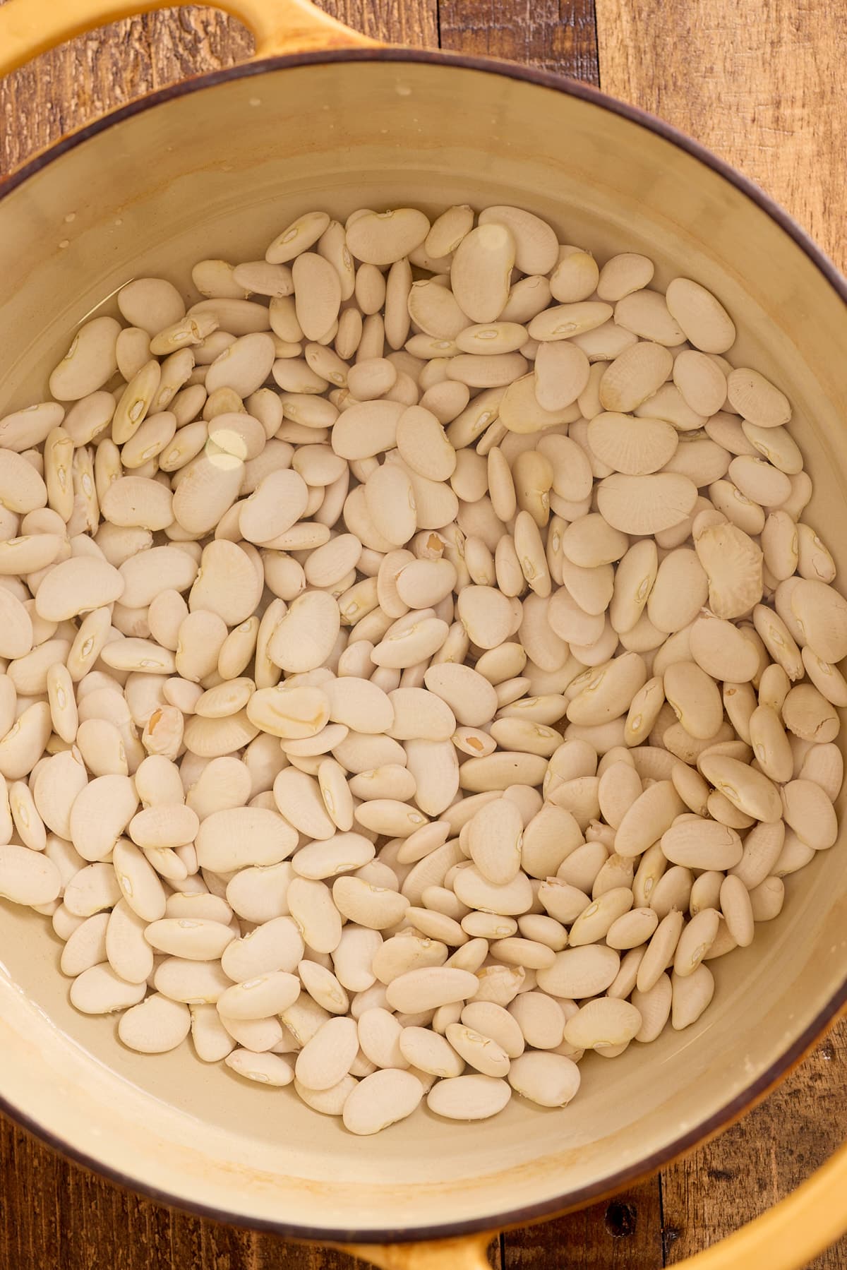 Dutch oven containing dry butter beans