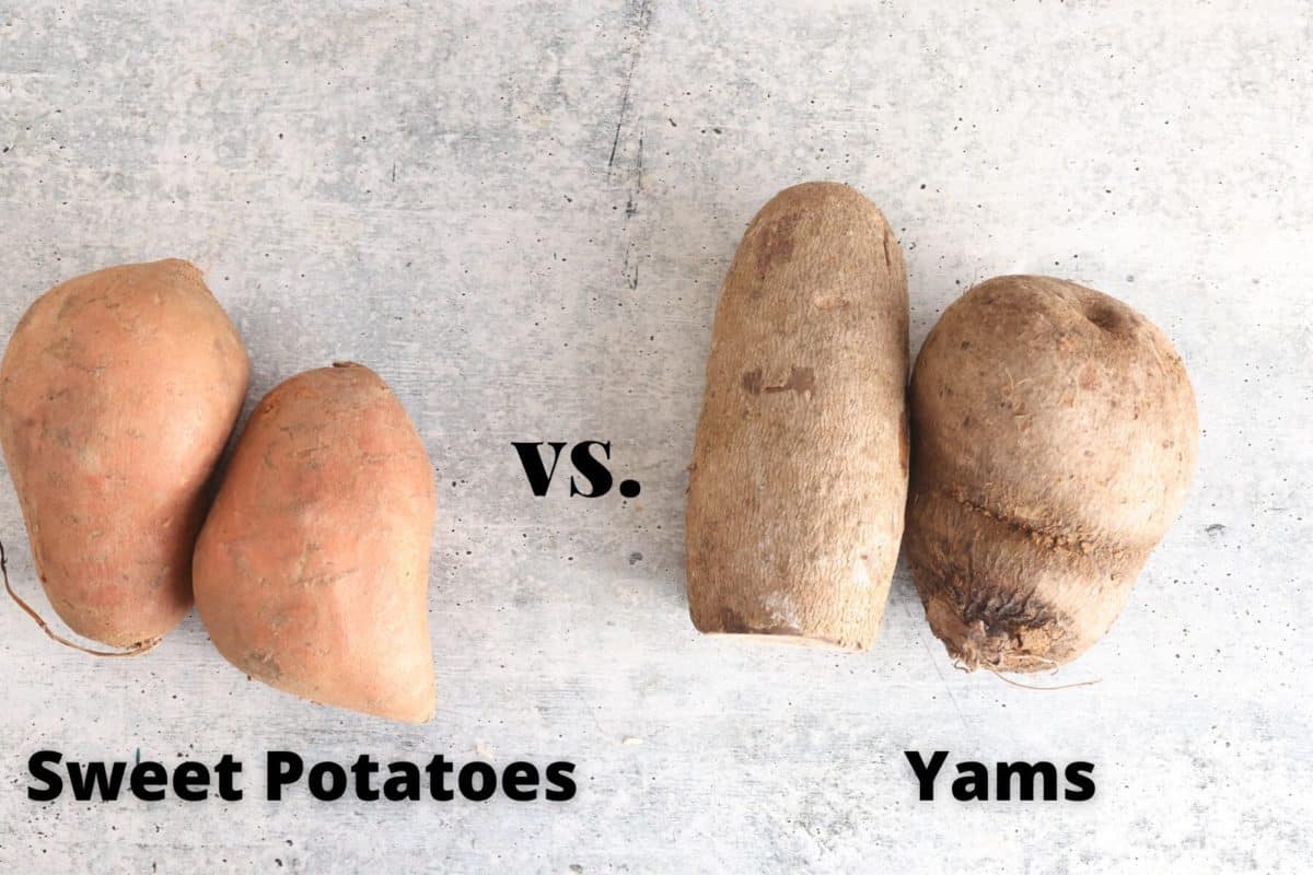 sweet potatoes on the left and yams on the right, with txt that says sweet potatoes vs. yams