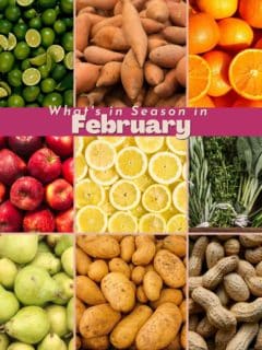 graph of produce that is in season in february