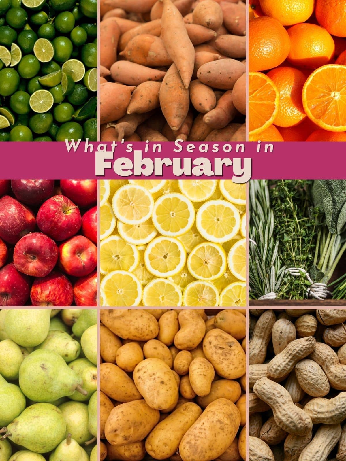 graph of produce that is in season in february