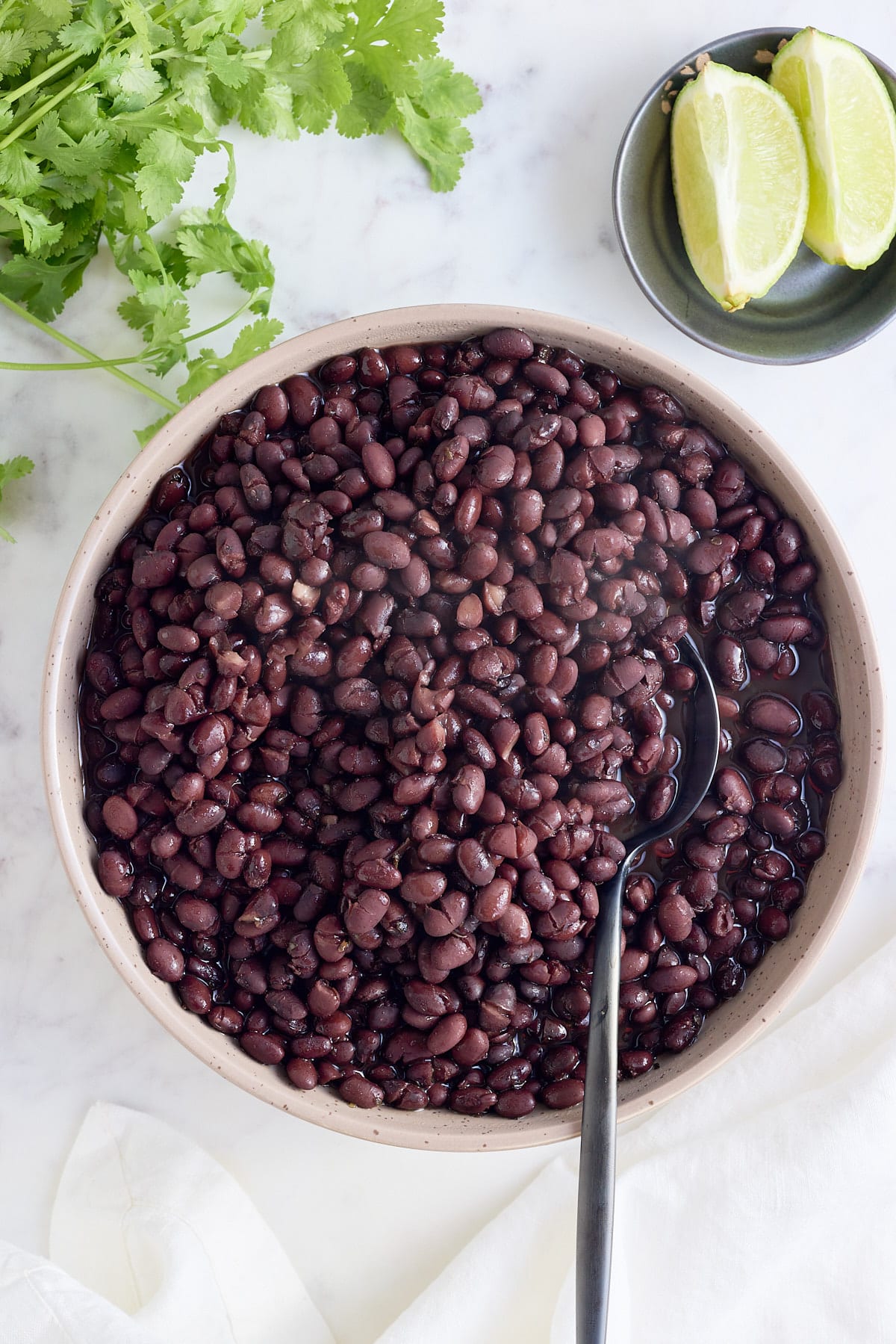 Large serving bowl of freshly cooked black beans.