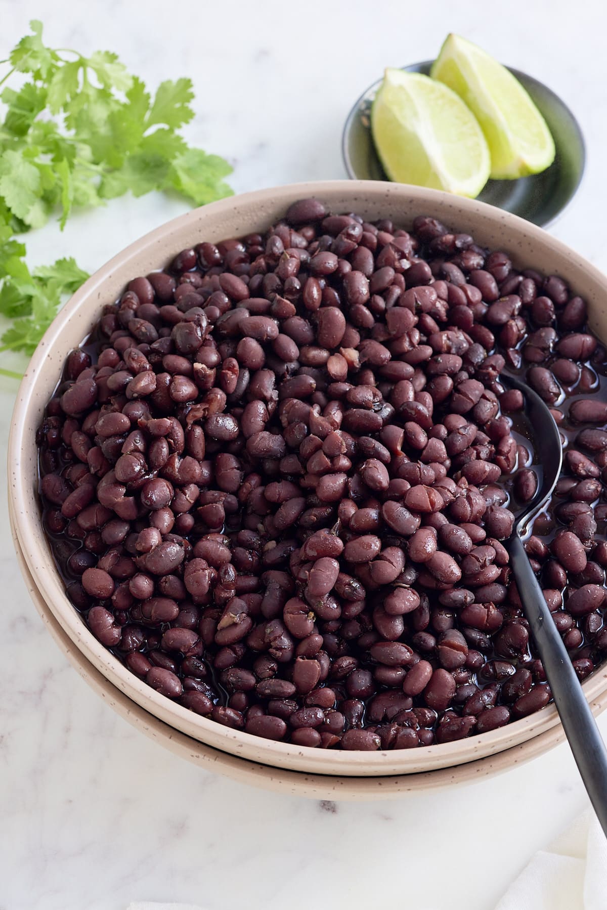 Large serving bowl of freshly cooked black beans.