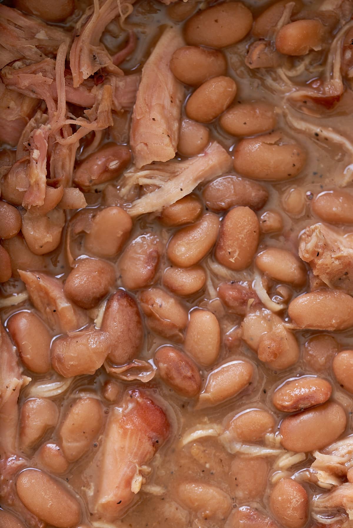 Close up image of cooked pinto beans and shredded turkey leg.