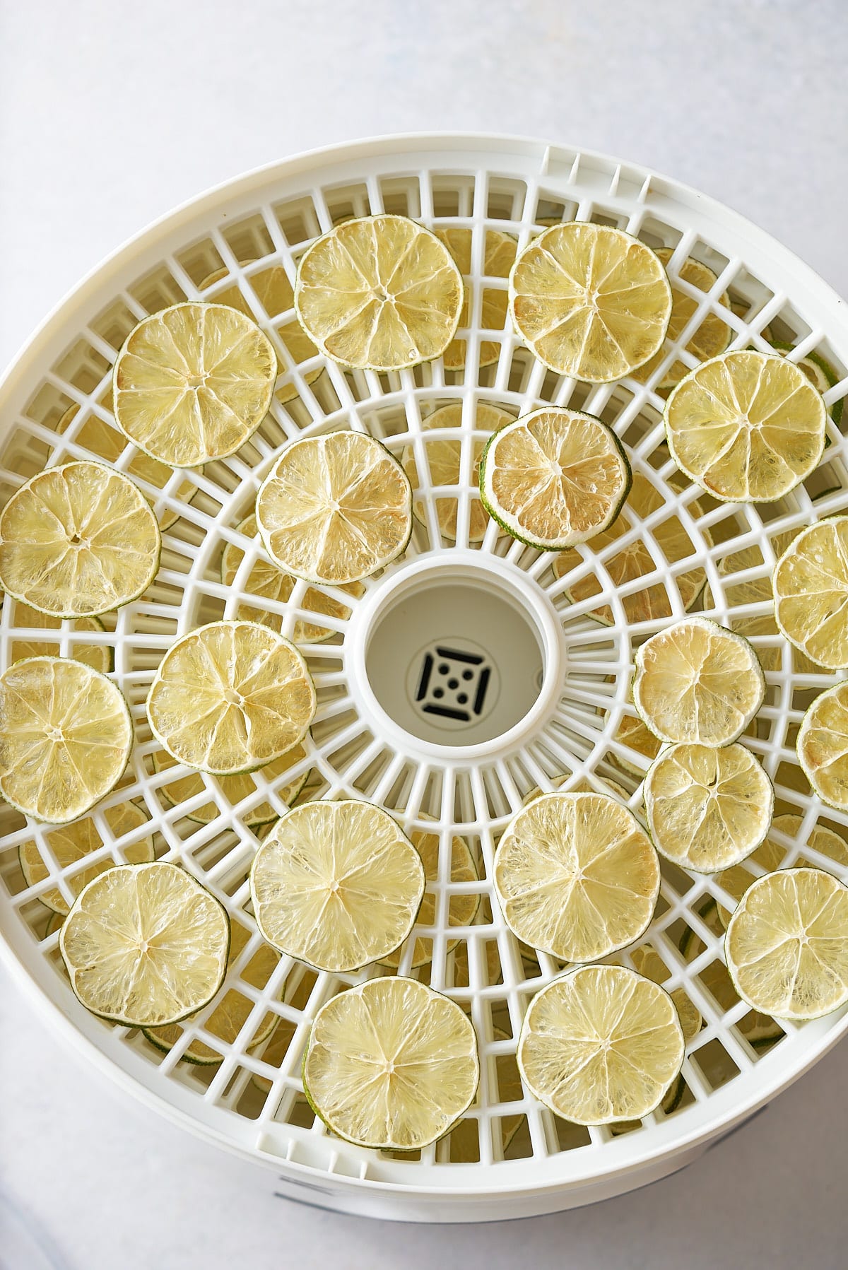 dried limes on dehydrator tray