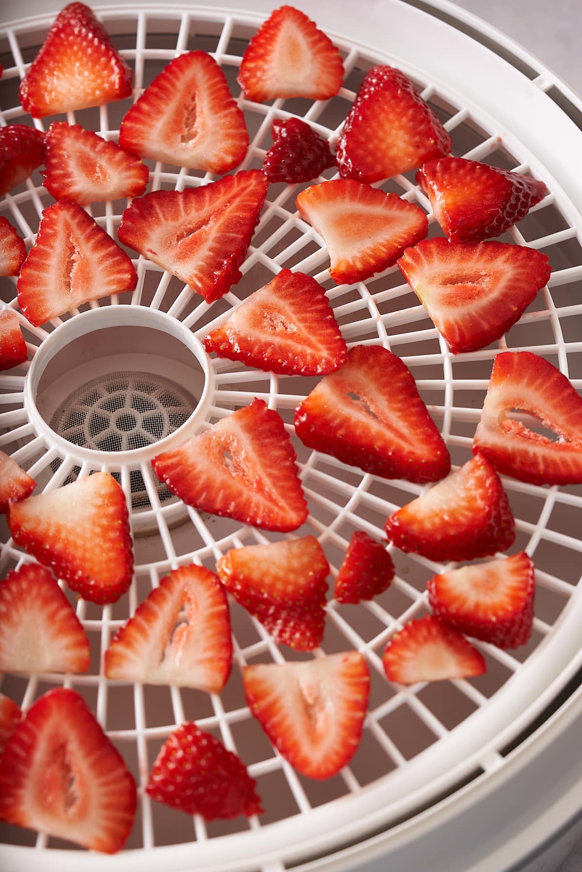 fresh sliced strawberries on dehydrator rack