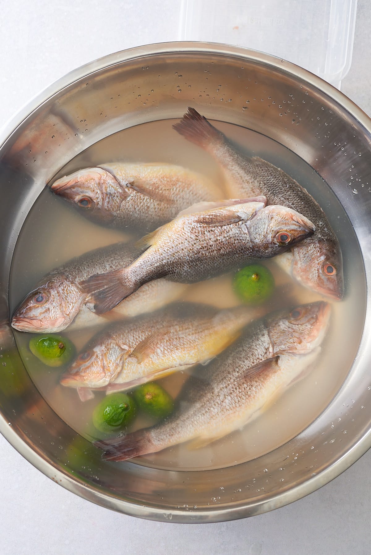 A silver bowl filled with six snapper fish soaking in cold water and lime.