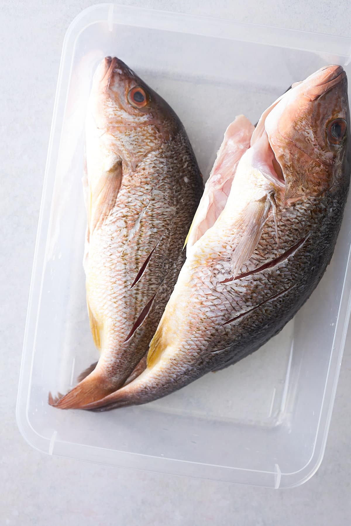 A plastic box with two whole snapper fish, gutted, scaled and with 3 slits cut into each side.