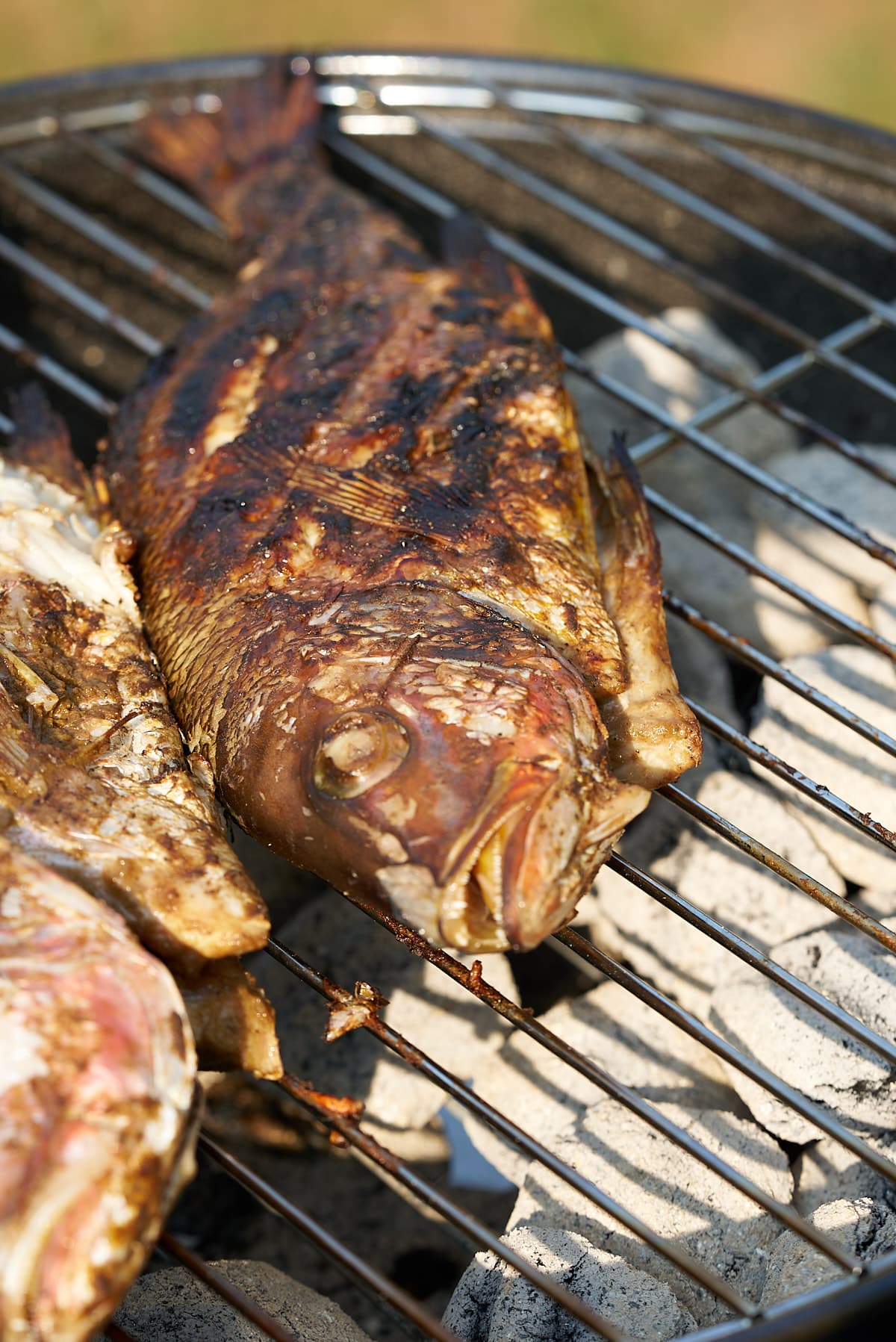 Two whole snapper fish cooking on a charcoal grill.