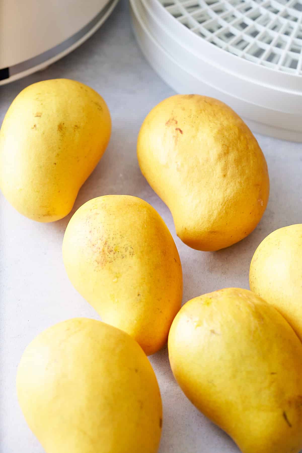 Honey mangos on white table with dehydrator in background