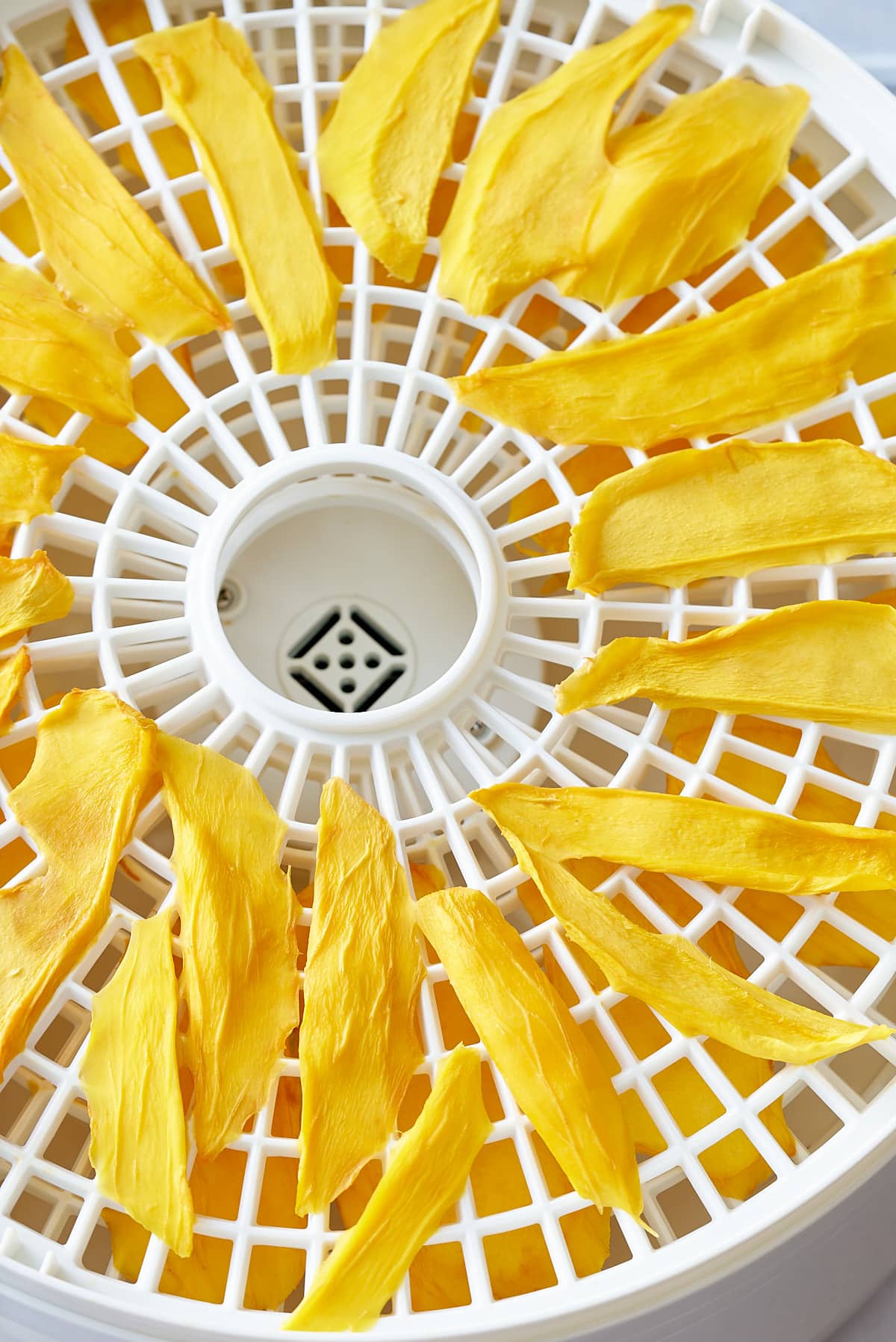 dried mango slices on dehydrator tray