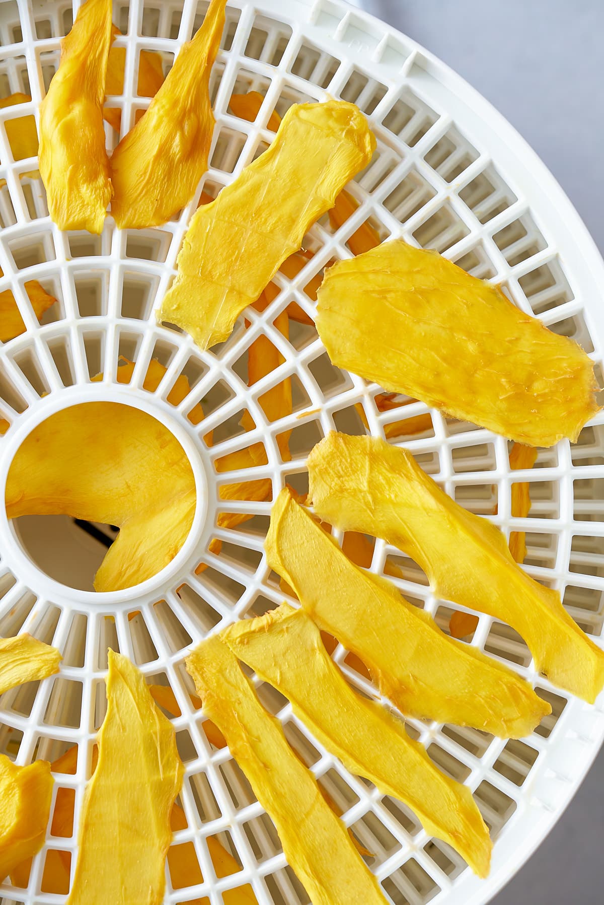 dehydrated mango on dehydrator trays