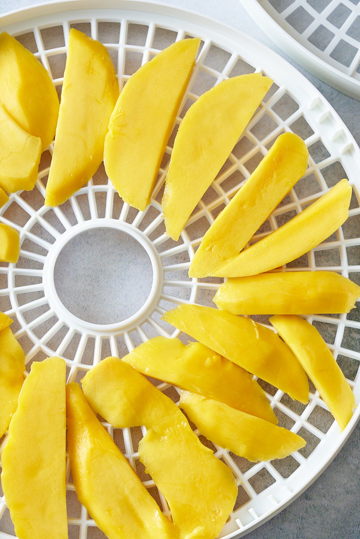 fresh mango slices on dehydrator tray