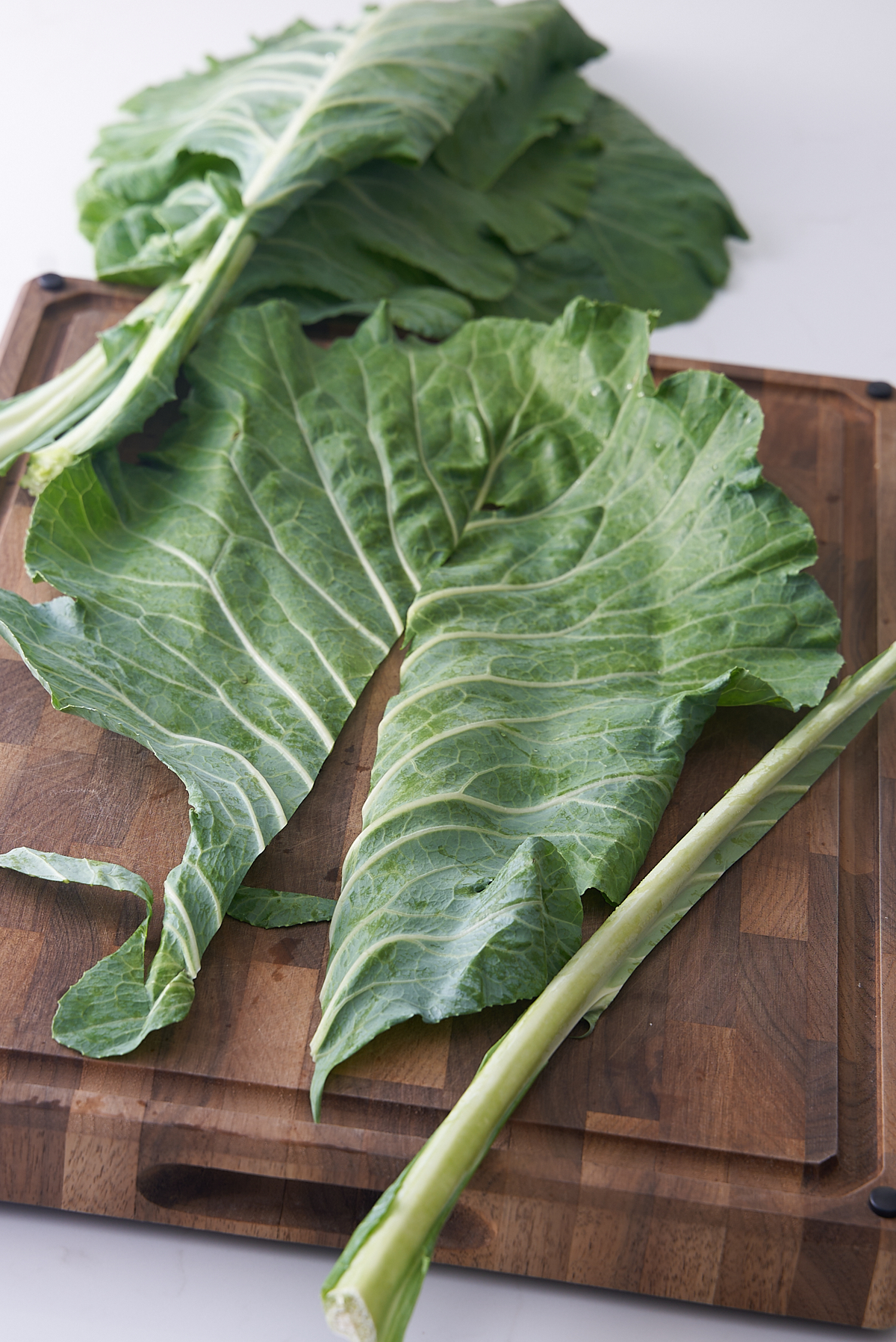 Collard green leaf with stem removed