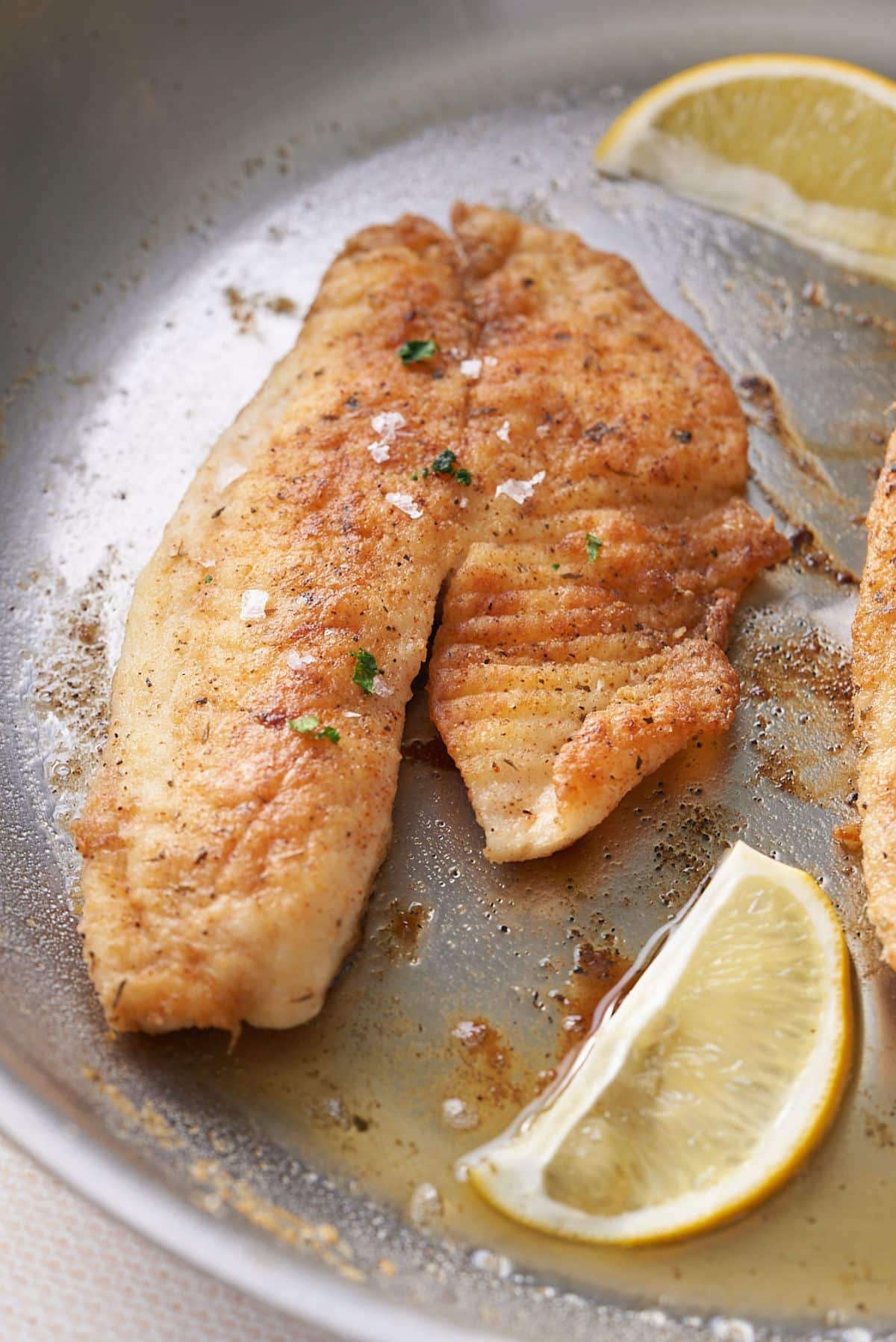 close up of Pan fried fish in a large skillet with added slices of fresh lemon.