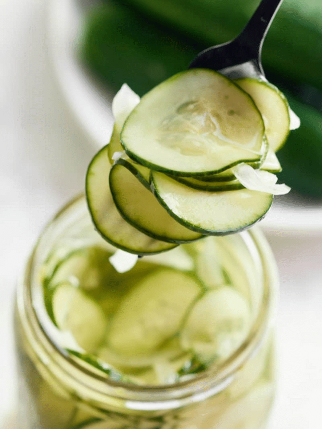 Homemade Refrigerator Pickles