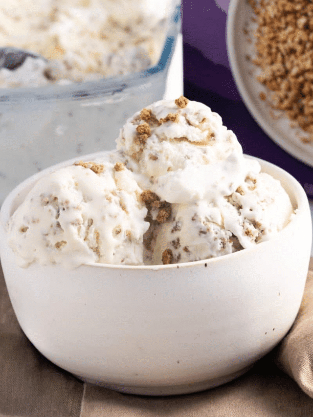 Grape Nut Ice Cream