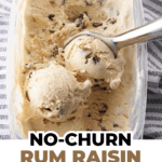 rum raisin pin image