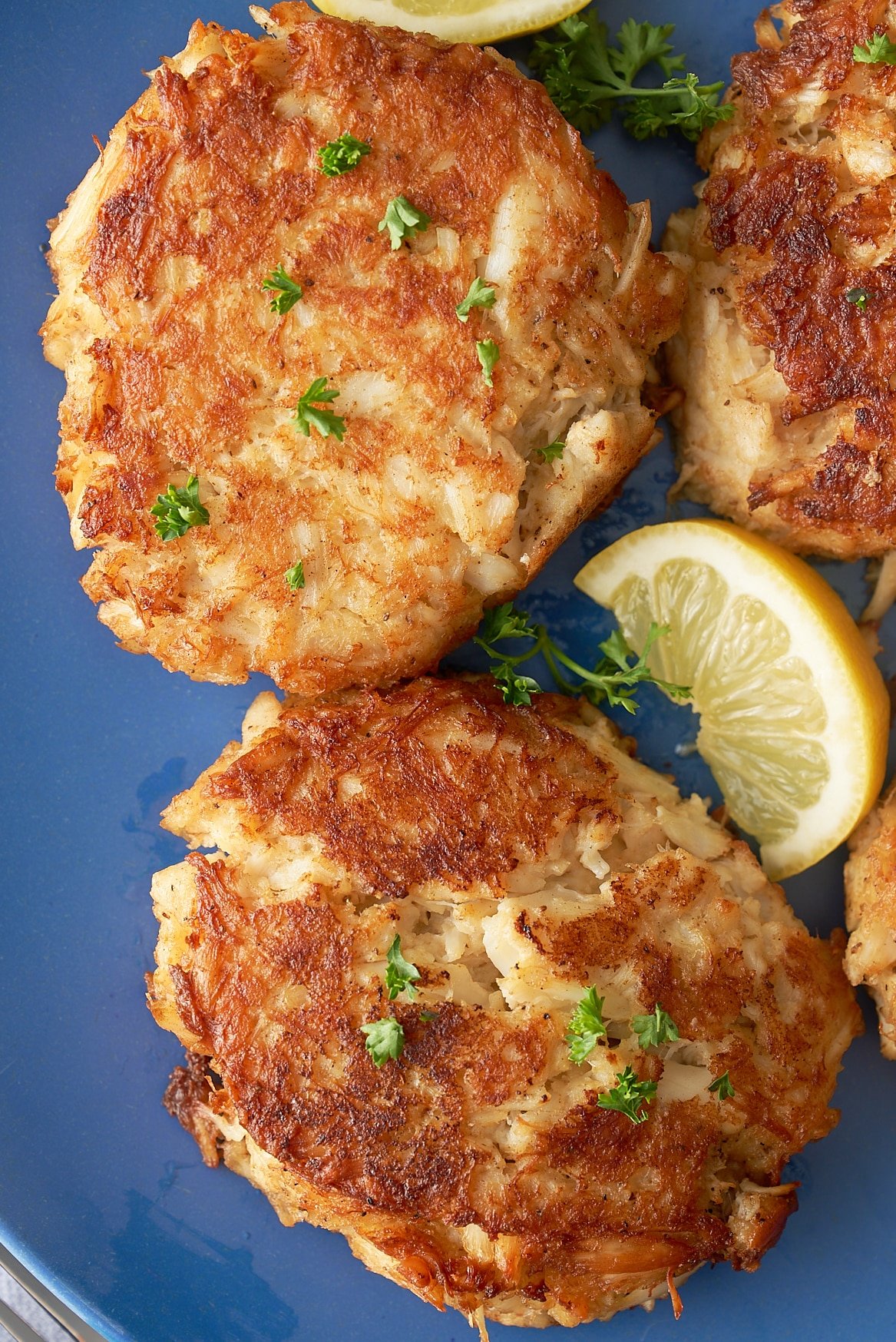 Close up on Maryland crab cakes