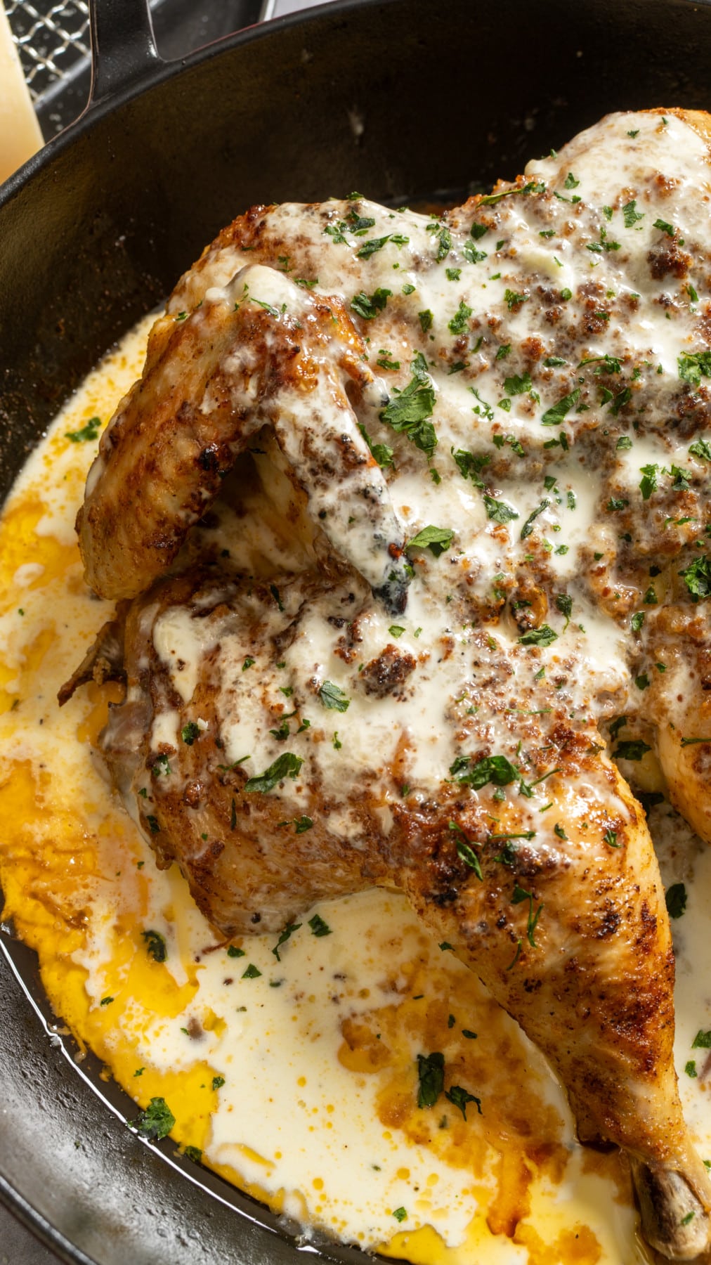 chicken covered in white sauce