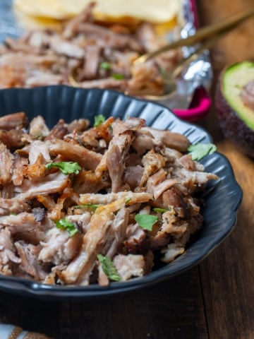 pork carnitas in bowl