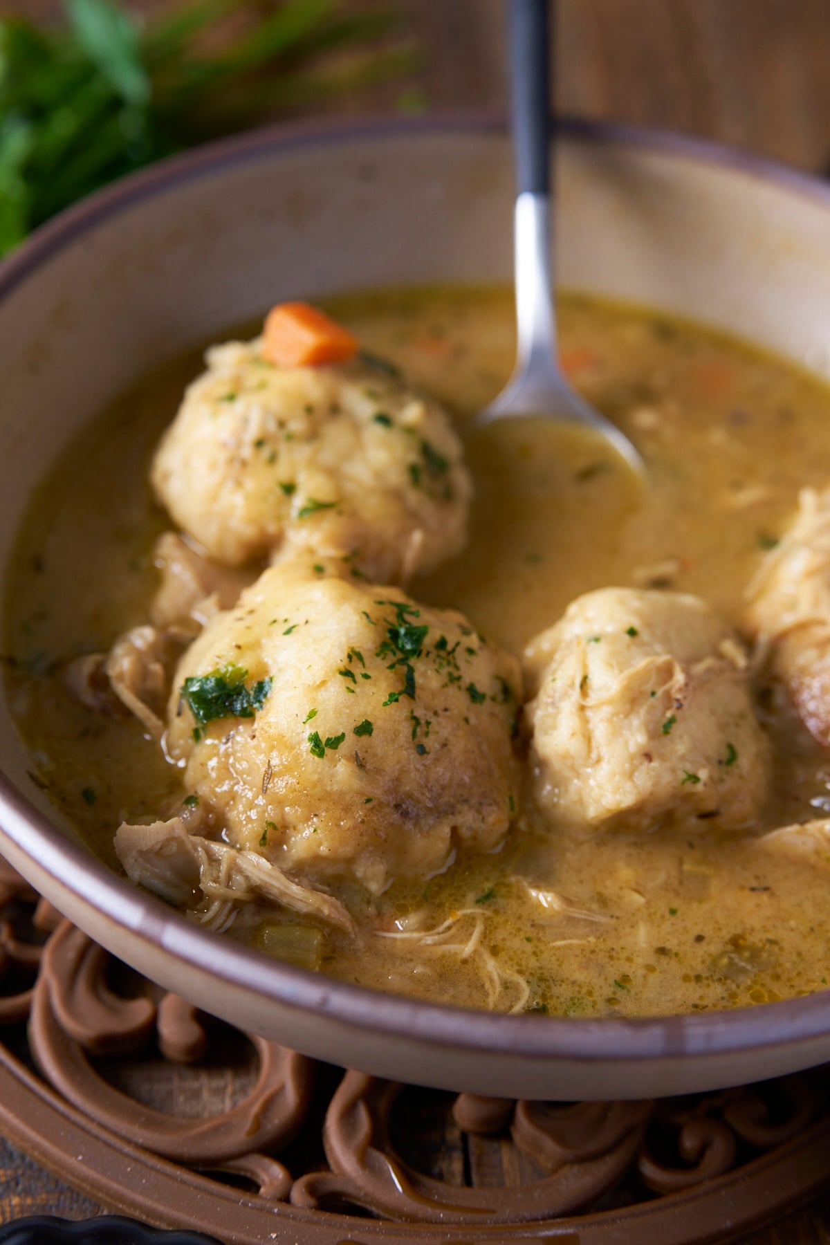chicken and dumplings in bowl with spoon in bowl