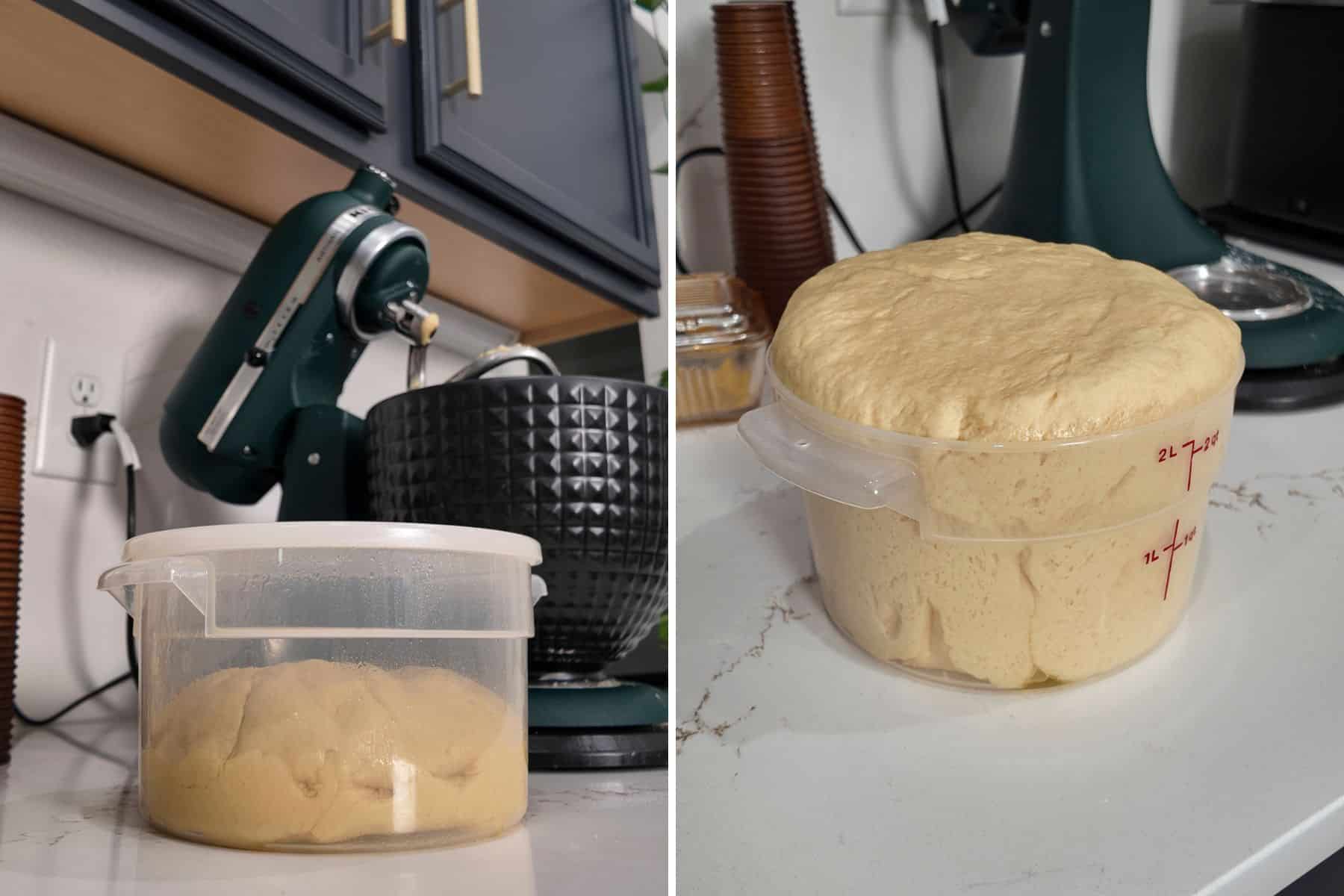 cinnamon roll dough before and after first rise