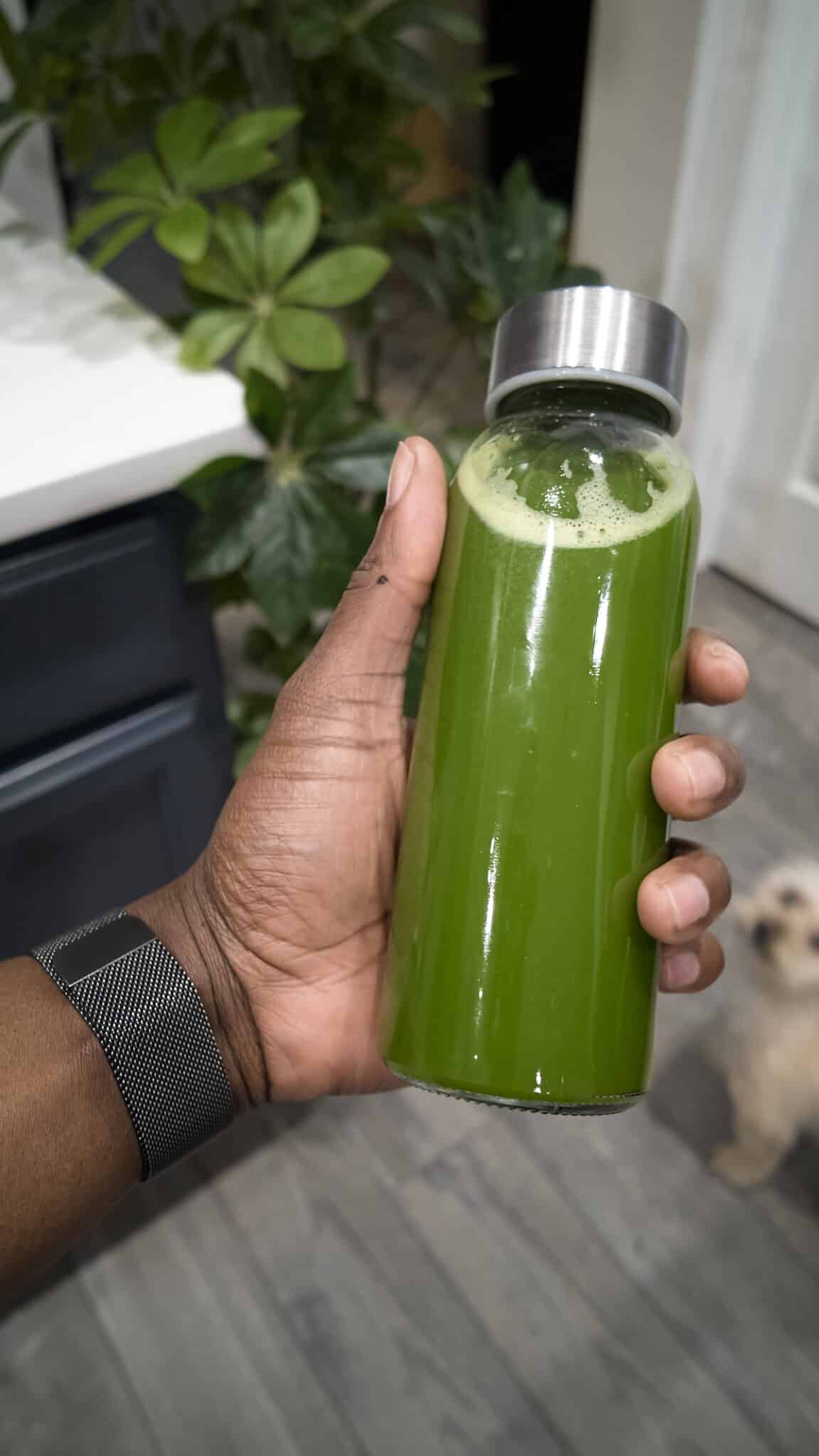 A hand holding a clear glass bottle filled with bright green juice, with a houseplant and a small dog in the background.