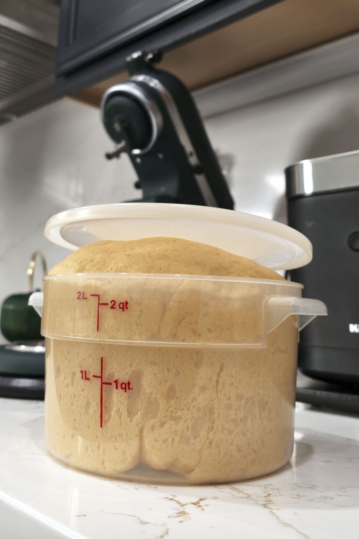 dough that doubled in size in plastic container