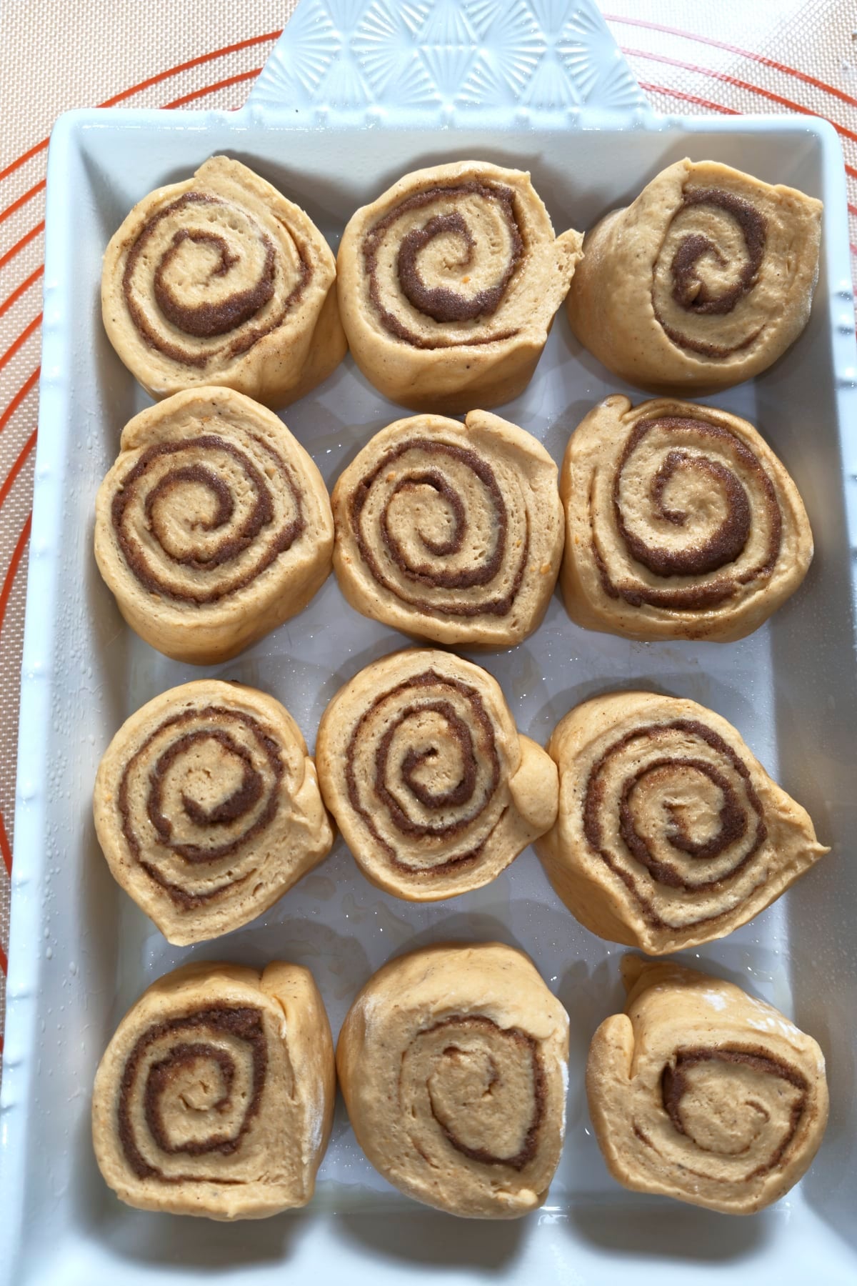 Twelve cut rolls arranged in a baking dish with a little space between them, before the second rise.