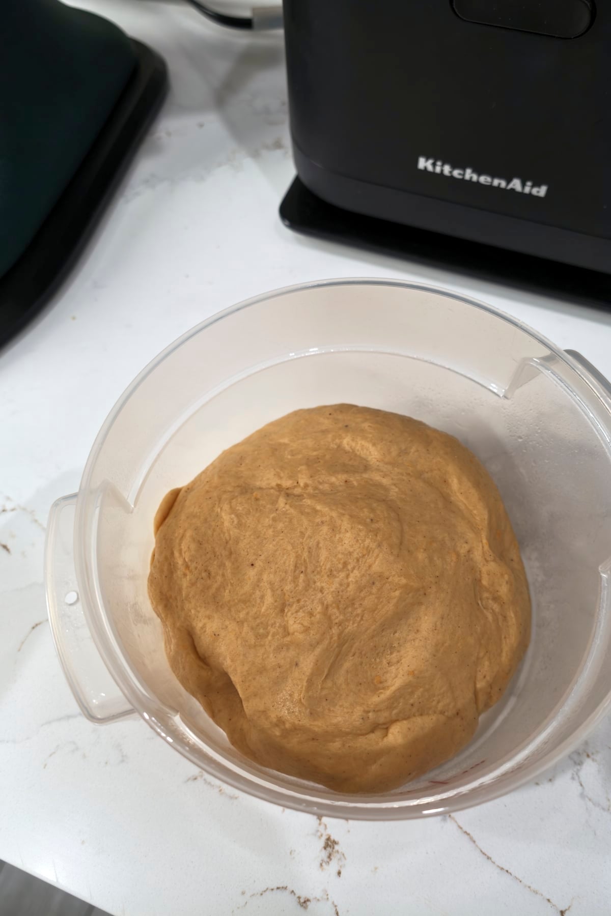 Kneaded dough in a greased bowl, ready for the first rise.